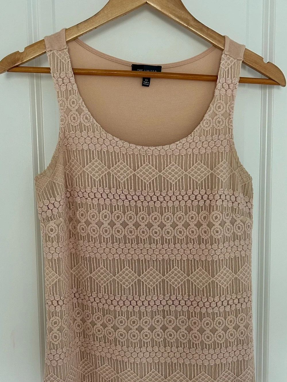 The Limited Blush Lace-Overlay Tank